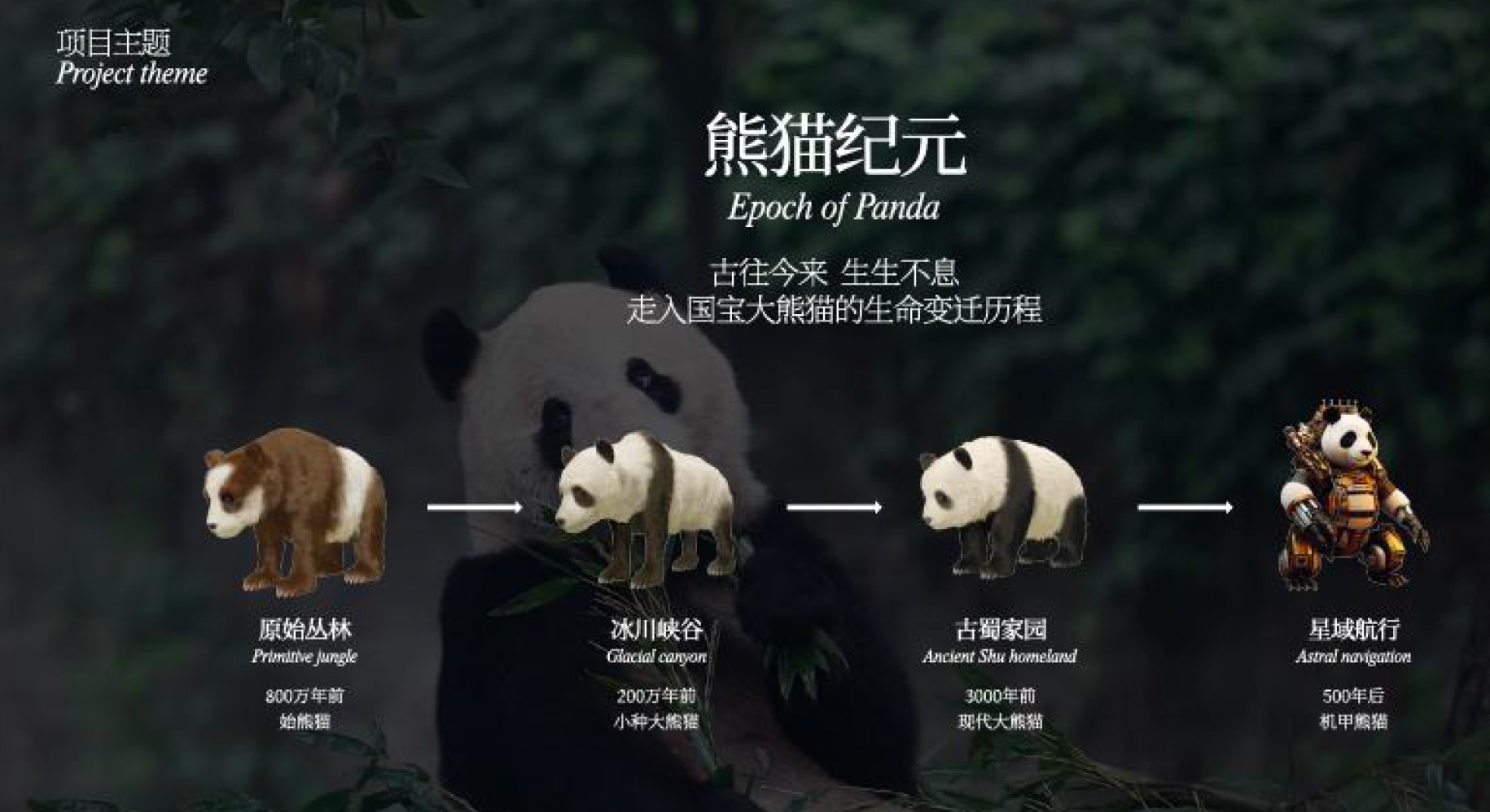 熊猫星球.jpg